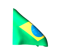 Brazilwavingflag